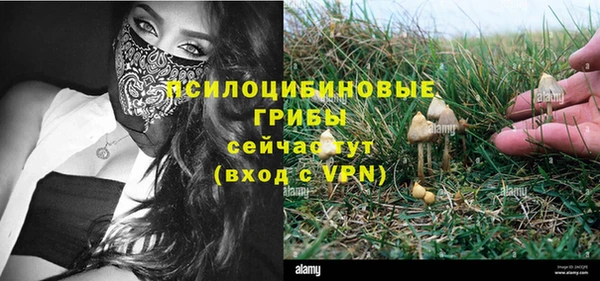 a pvp Бронницы
