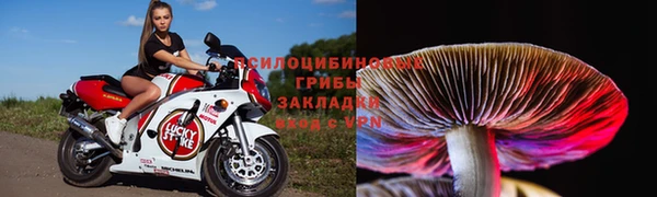 наркотики Бородино