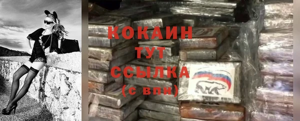 гашик Богданович
