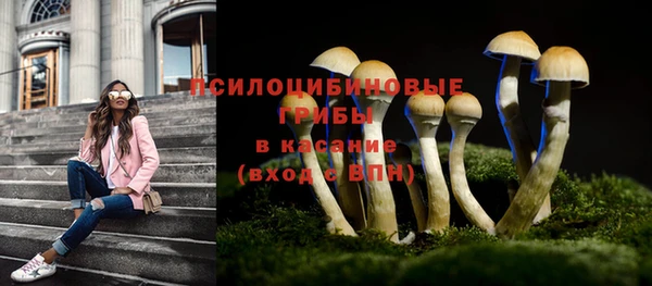 a pvp Бронницы