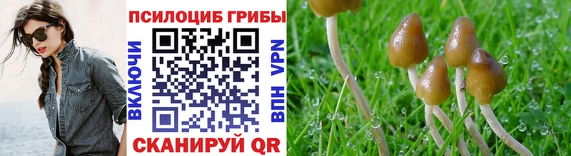 Галлюциногенные грибы прущие грибы  Гремячинск 